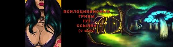 бутират Покачи
