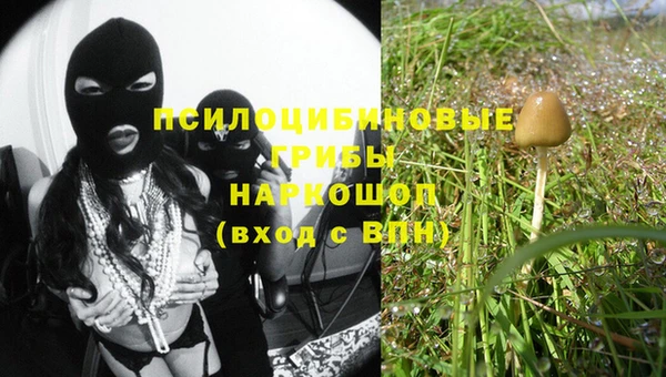 МДПВ Воткинск