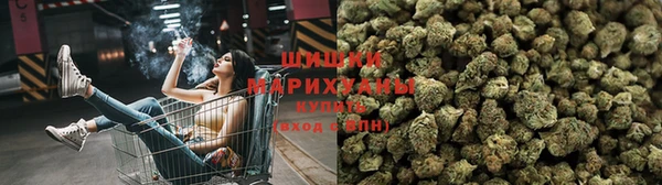 прущий лед Пересвет